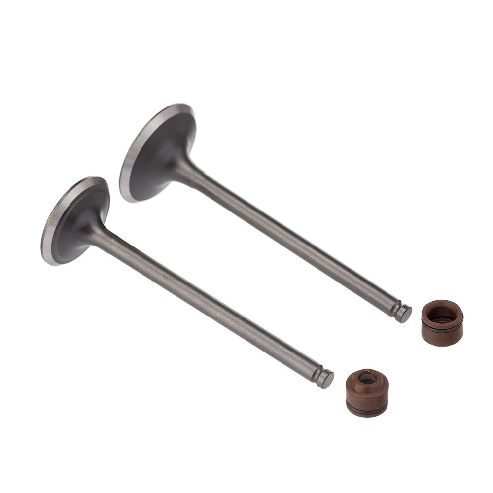 Válvula e Retentor Kit (4PCS) WW3 CG 150 04/ RET. Marrom – foto 1