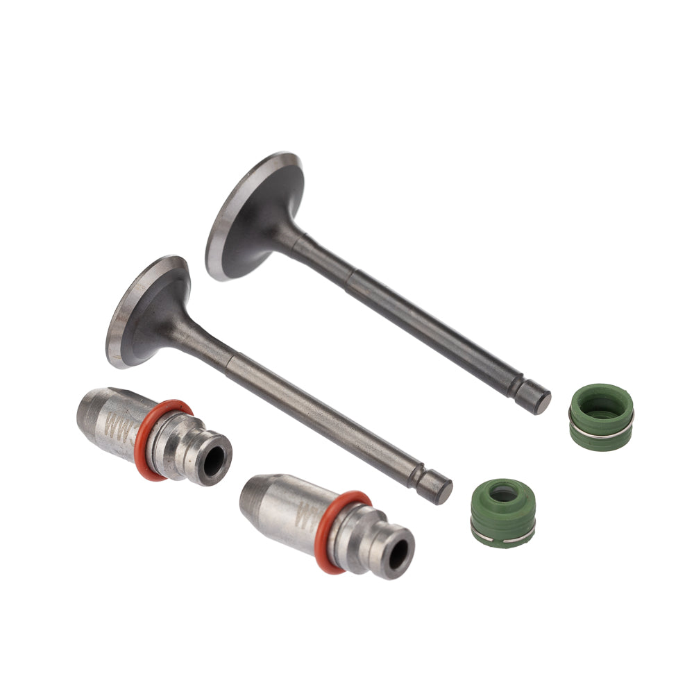 Válvula Guia e Retentor Kit (6PCS) WW3 YBR 125 00/ Reten. Verde – foto 1