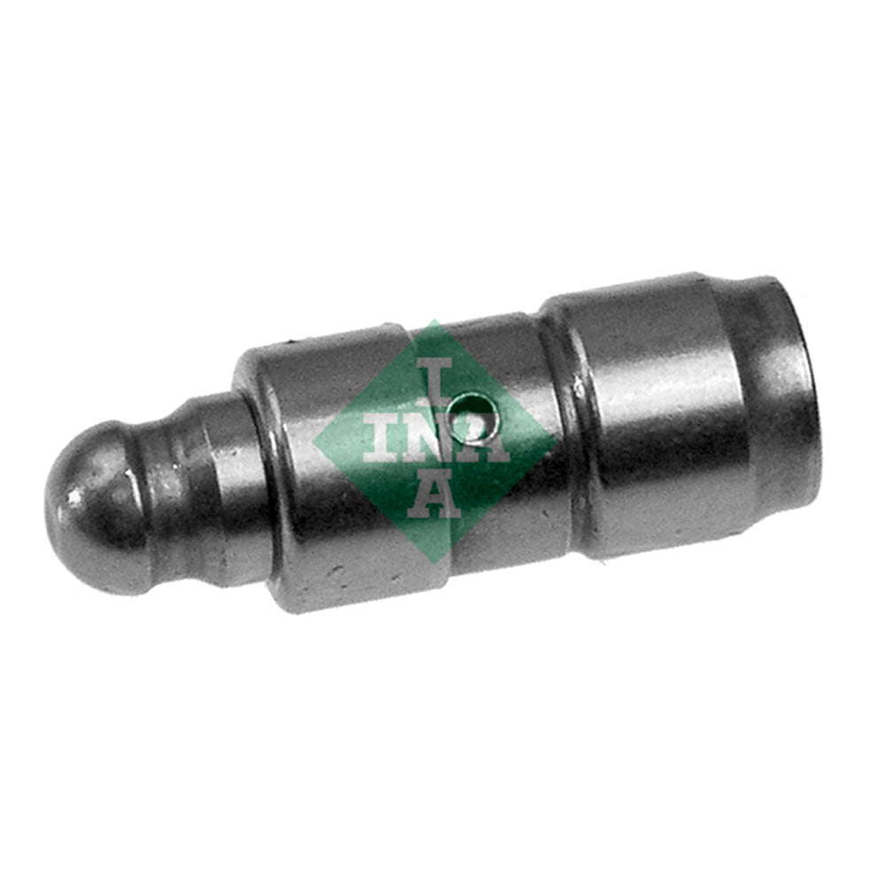 Tucho Hidráulico Ina 4200098100 Caixa com 8 VW Parati/Gol/Polo/Polo Classic, Seat Ibiza