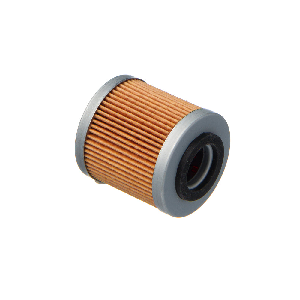 Filtro de Óleo EIS Hus-Tc/Te 250/450/TE510/610 – foto 1