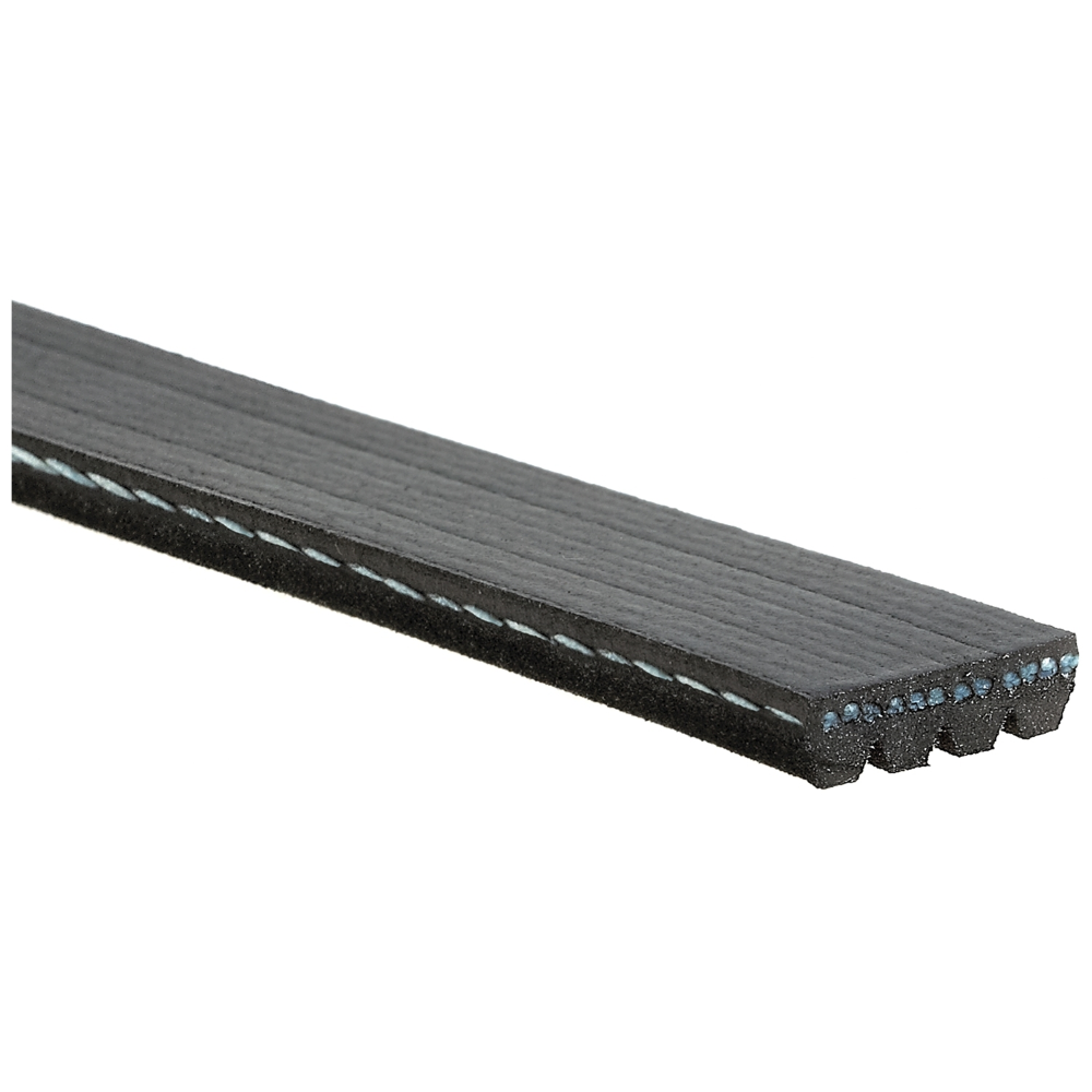 Correia Micro V Gates 4PK1010 Honda Civic