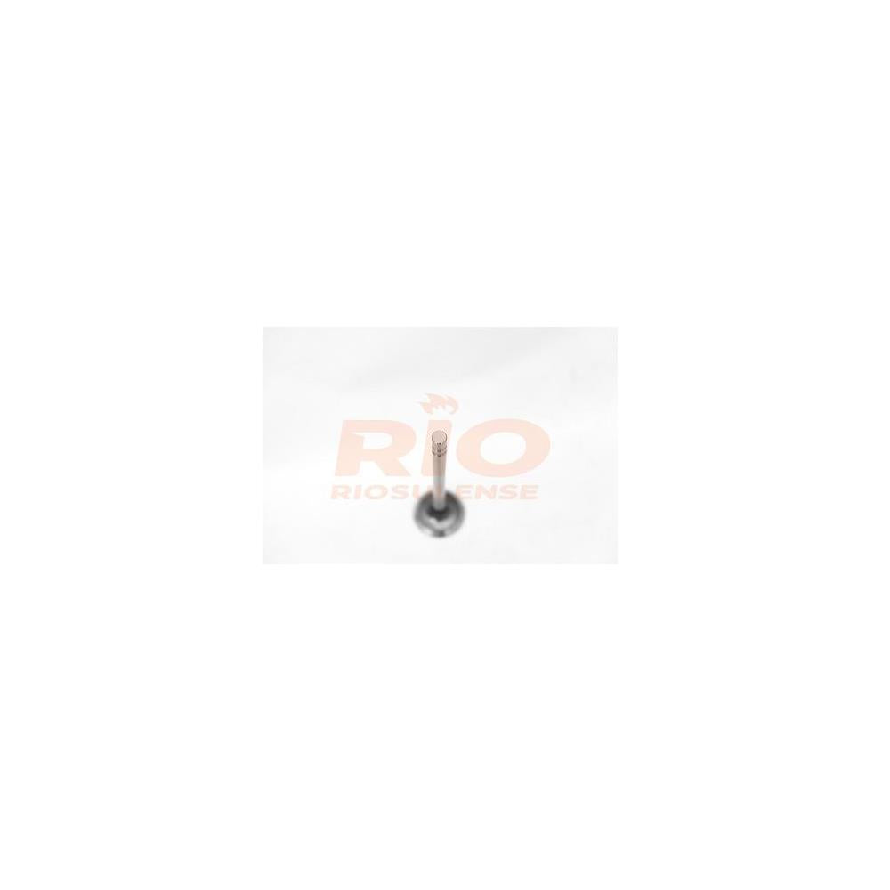 Válvula de Escape Standard Riosulense 541490401 GM Opala/Caravan