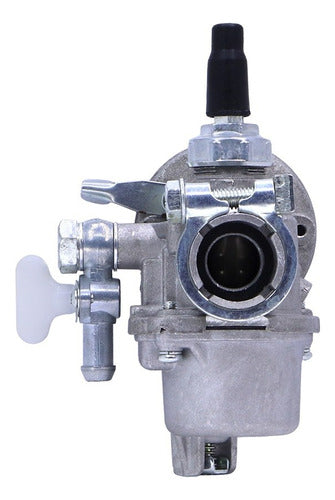 Carburador Cpl Para Atomizador Vulcan Vat20l Original