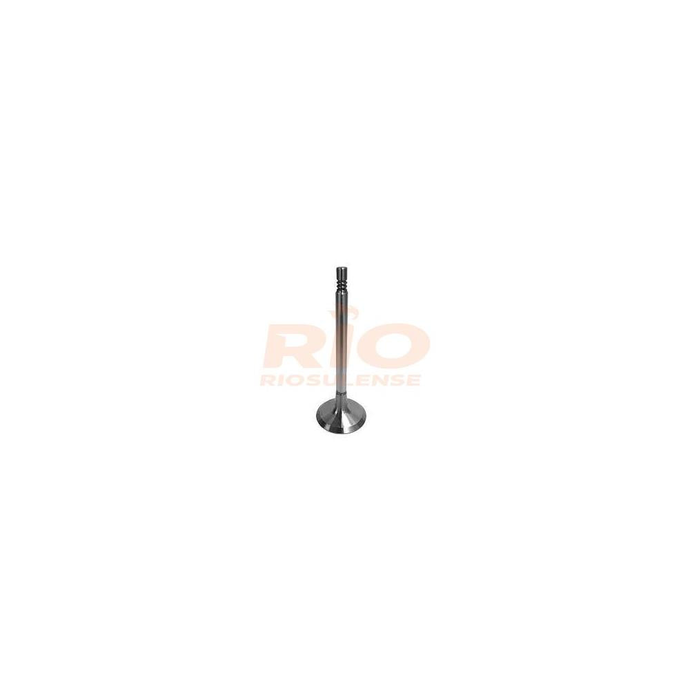 Válvula de Escape Riosulense 545050401 Caixa com 4 GM S10