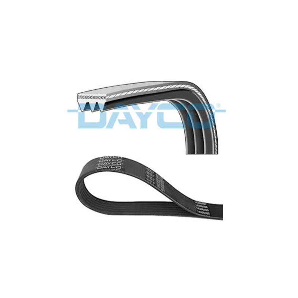 Correia Poly V Dayco 3PK760 Toyota RAV4/Corona/Camry, Honda Civic, Kia Clarus