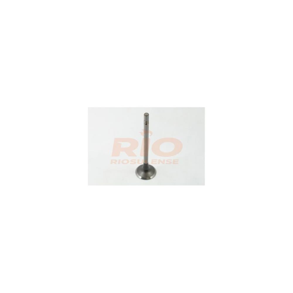 Válvula Adm Standard Riosulense 544900101 VW Amarok