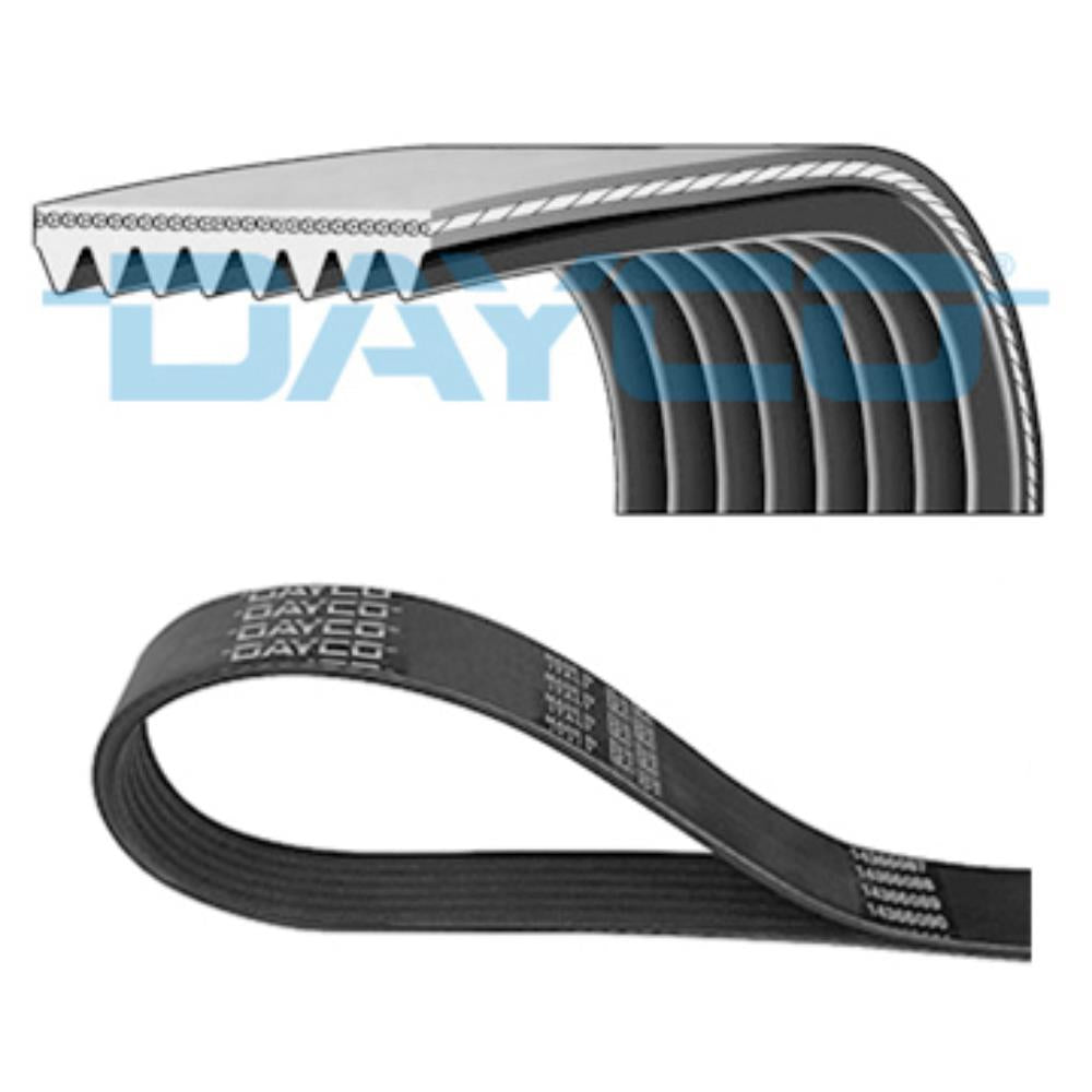 Correia Poly V Dayco 8PK1290HD VW 9.150 OD/8-140/8.150 OD/8-150