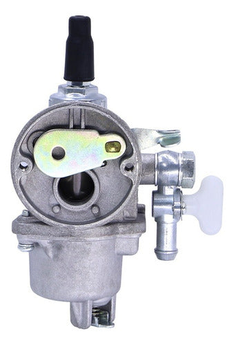 Carburador Cpl Para Atomizador Vulcan Vat20l Original
