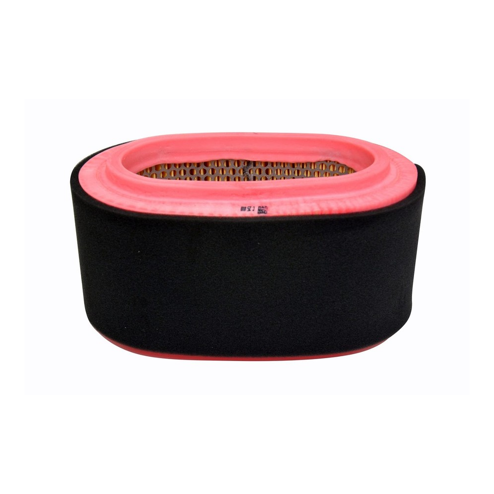 Elemento Filtrante do Ar Mann-filter C25010 Hyundai HR