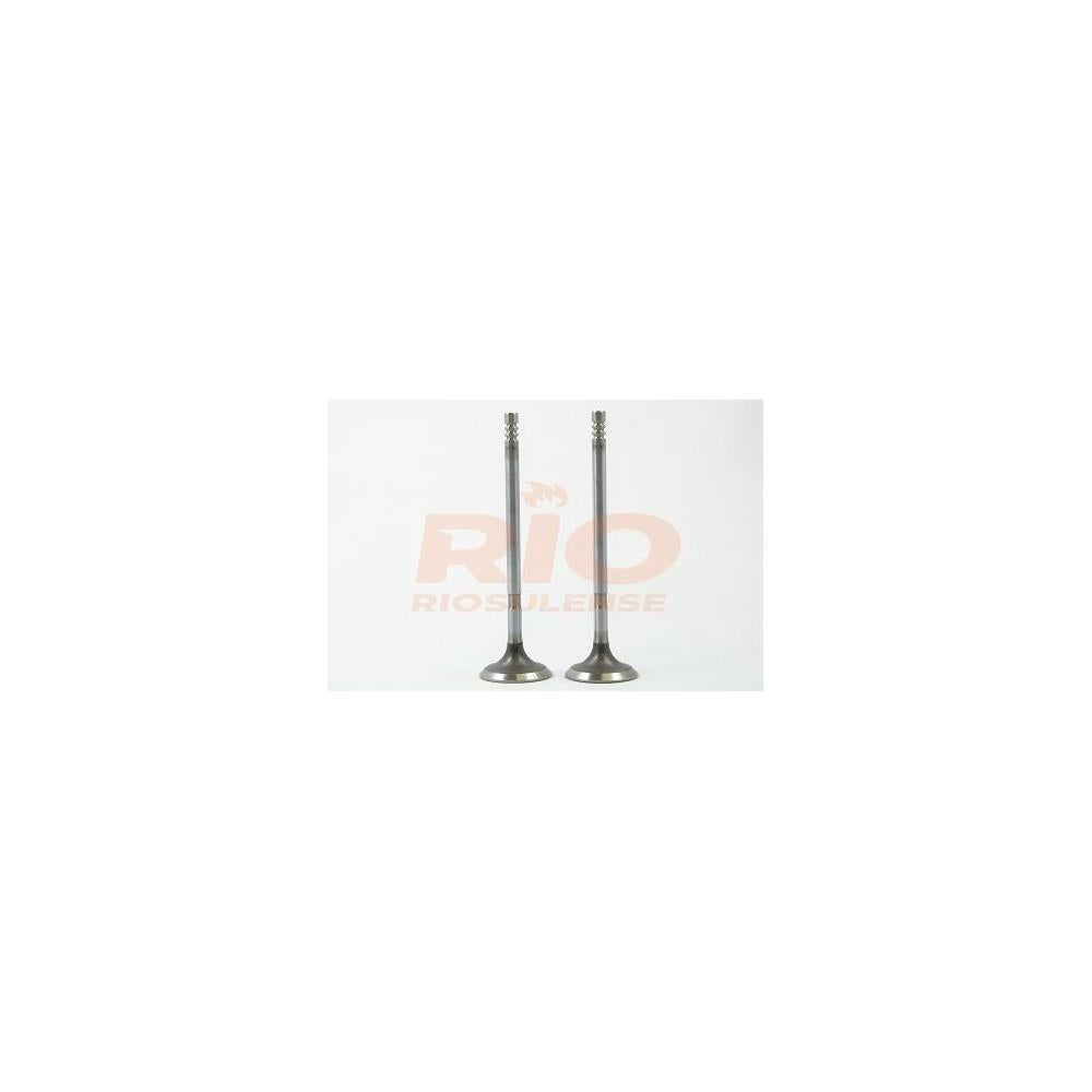 Válvula Adm Standard Riosulense 544630701 Fiat Bravo/Idea/Strada/Linea/Punto/Palio Weekend/Grand Siena/Palio/Doblo/Siena, Jeep Renegade