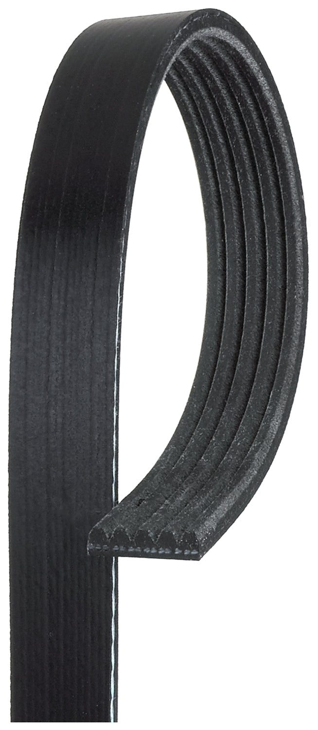Correia Micro V Gates 5PK1010 Fiat Fiorino/Uno, Alfa Romeo Spider, Daewoo Lanos