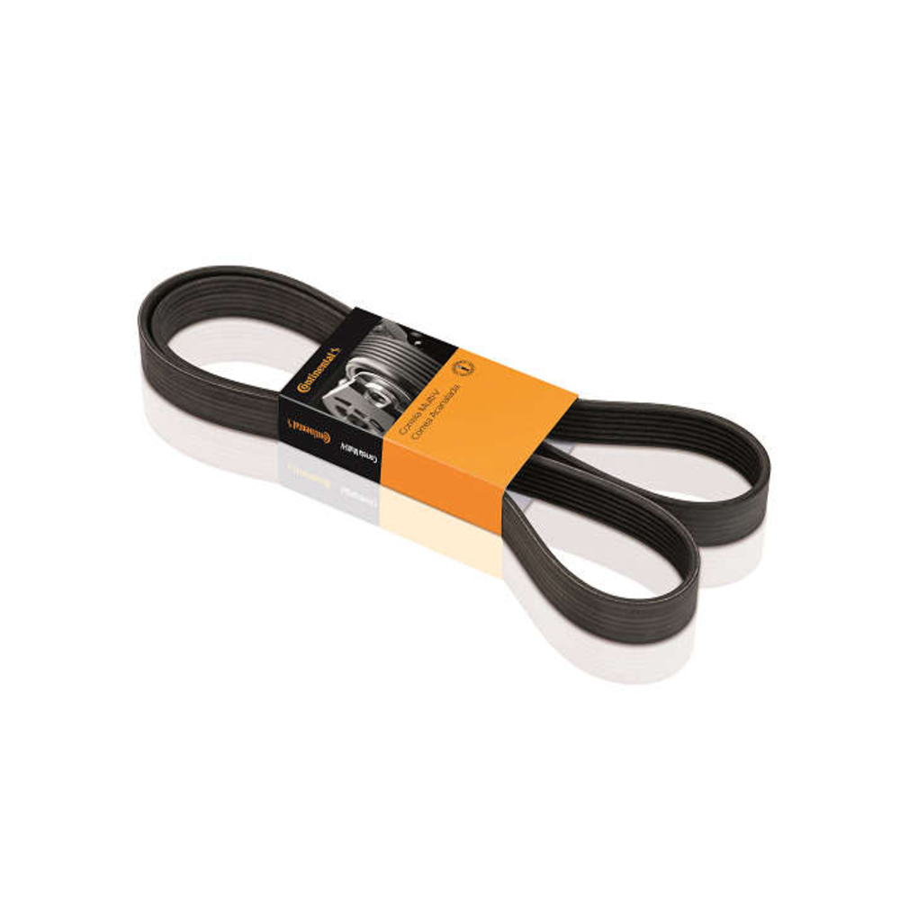 Correia Multi V Elite 10PK 2475 Fora Da Frota Brasileira Fora DA Frota Nacional