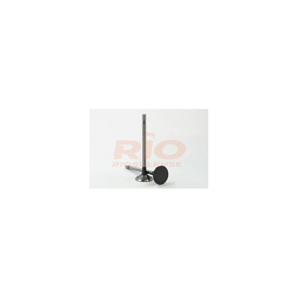 Válvula Adm Standard Riosulense 544900101 VW Amarok