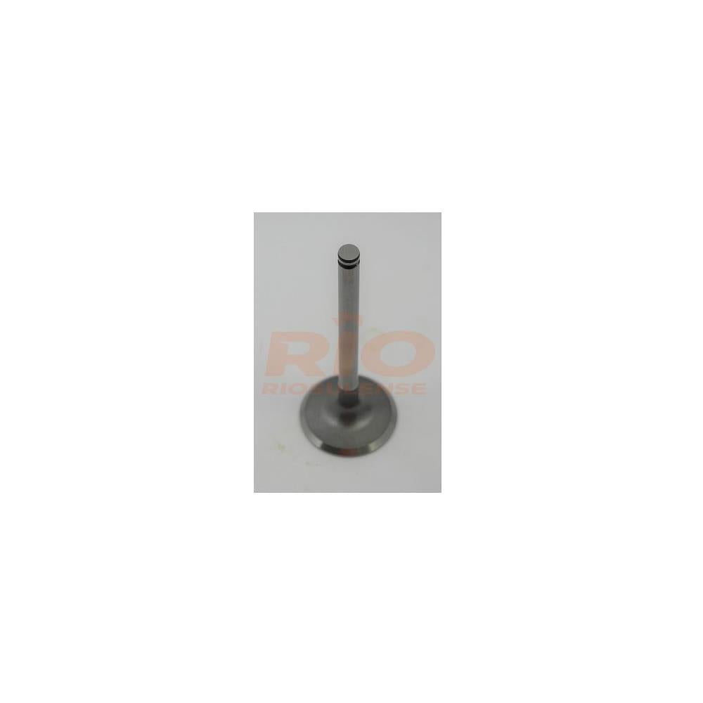 Válvula de Escape Standard Riosulense 542880141 Peugeot 206/Hoggar/207, Citroen C3