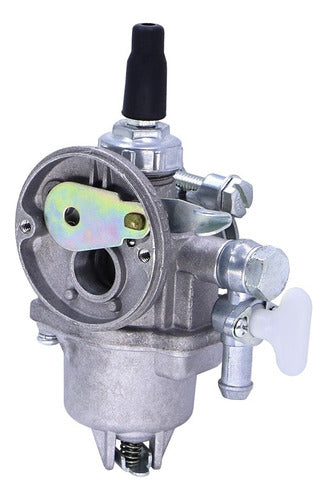 Carburador Cpl Para Atomizador Vulcan Vat20l Original