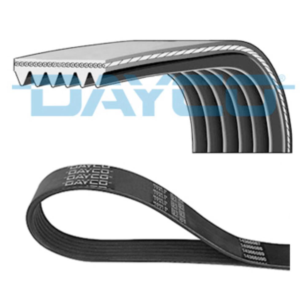 Correia Poly V Dayco 6PK1290 Audi S6 Avant, Land Rover Freelander