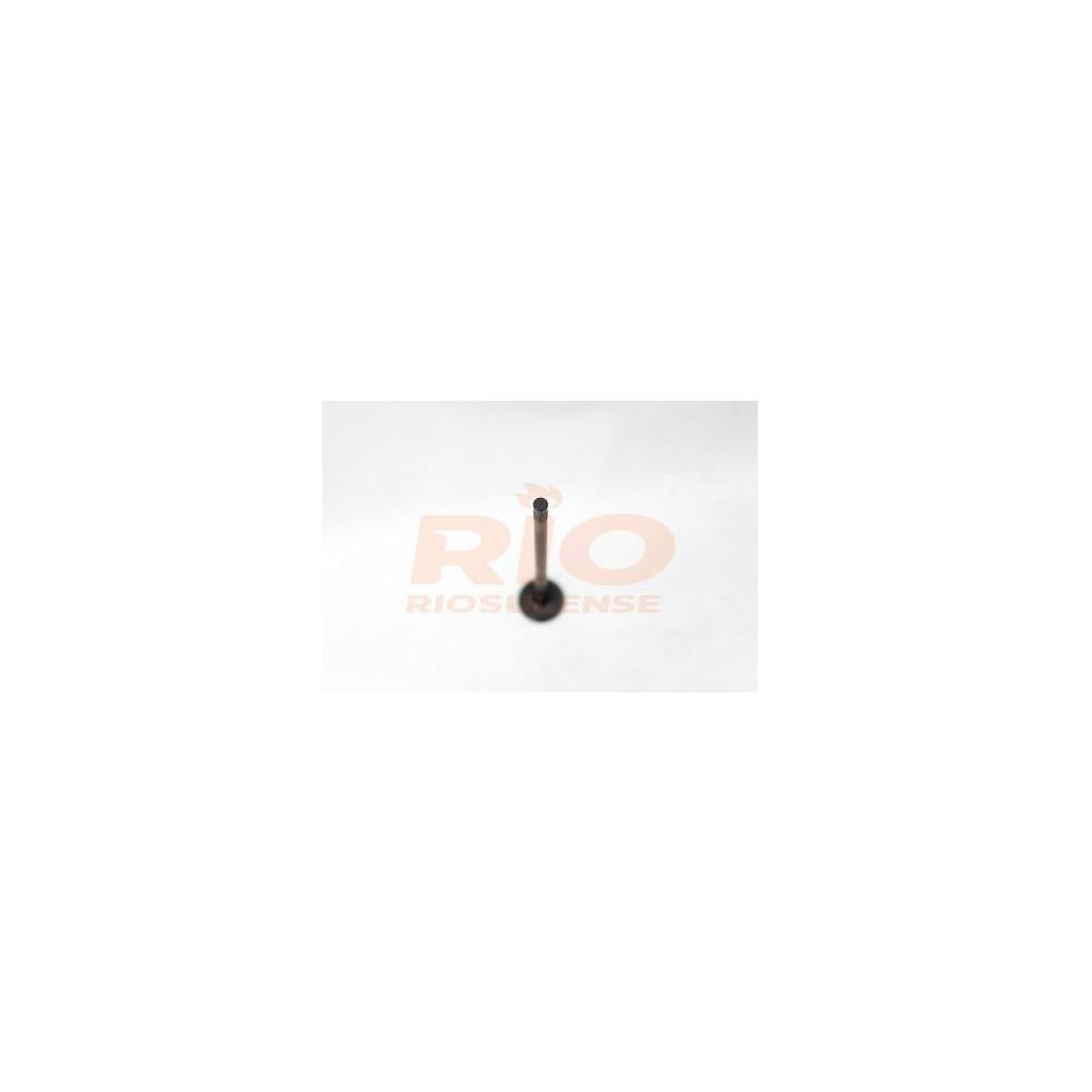 Válvula de Escape Standard Riosulense 544640701 Fiat Siena/Idea/Strada/Linea/Palio/Bravo/Doblo/Punto/Palio Weekend/Grand Siena, Jeep Renegade