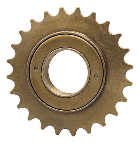 Roda Livre 24d Catraca Bike Roda Livre Bicicleta Esferada