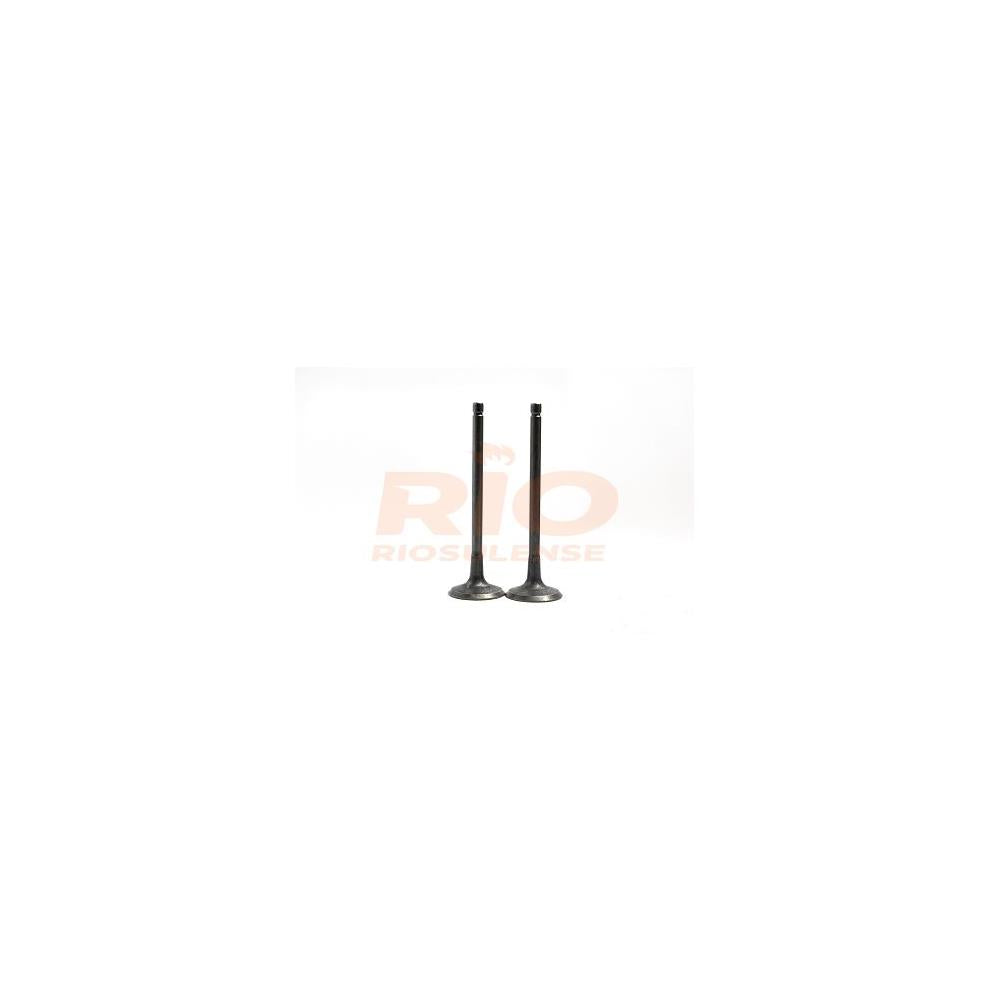 Válvula Adm Standard Riosulense 542910141 Citroen C3 Picasso/Xsara Picasso/Aircross/C4/C3, Peugeot 207/307/206/Partner/Hoggar