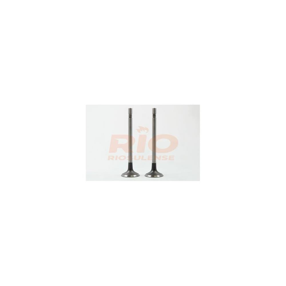 Válvula Adm Standard Riosulense 544900101 VW Amarok