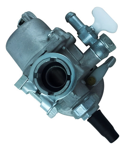 Carburador Cpl Para Atomizador Vulcan Vat20l Original