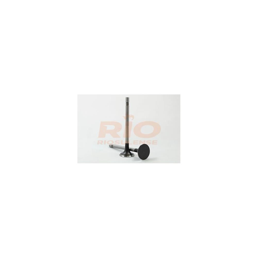 Válvula de Escape Standard Riosulense 544910101 VW Amarok