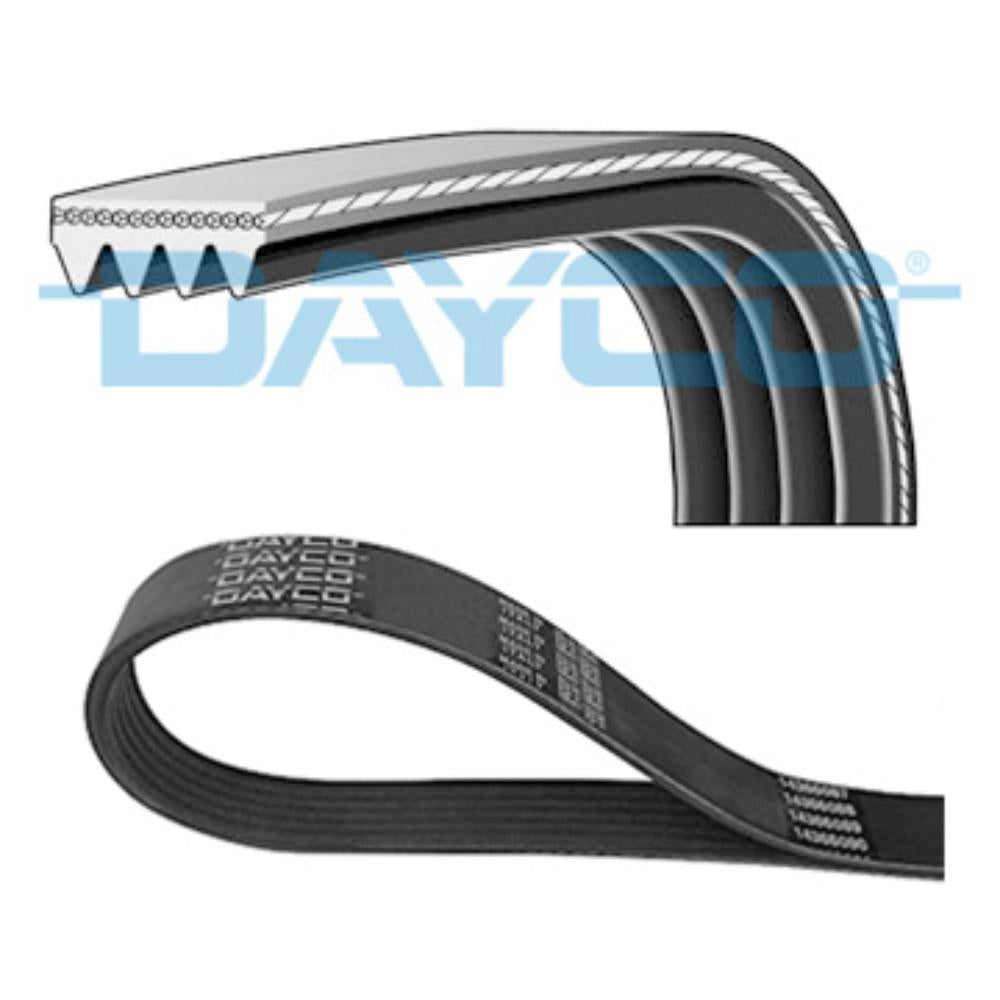 Correia Poly V Dayco 4PK750 Hafei Towner