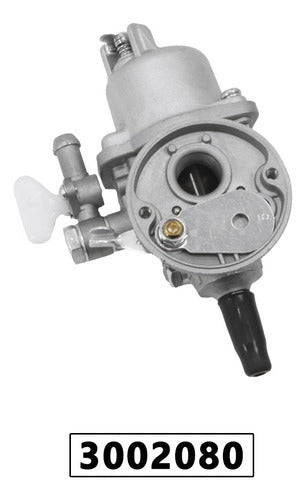 Carburador Cpl Para Atomizador Vulcan Vat20l Original