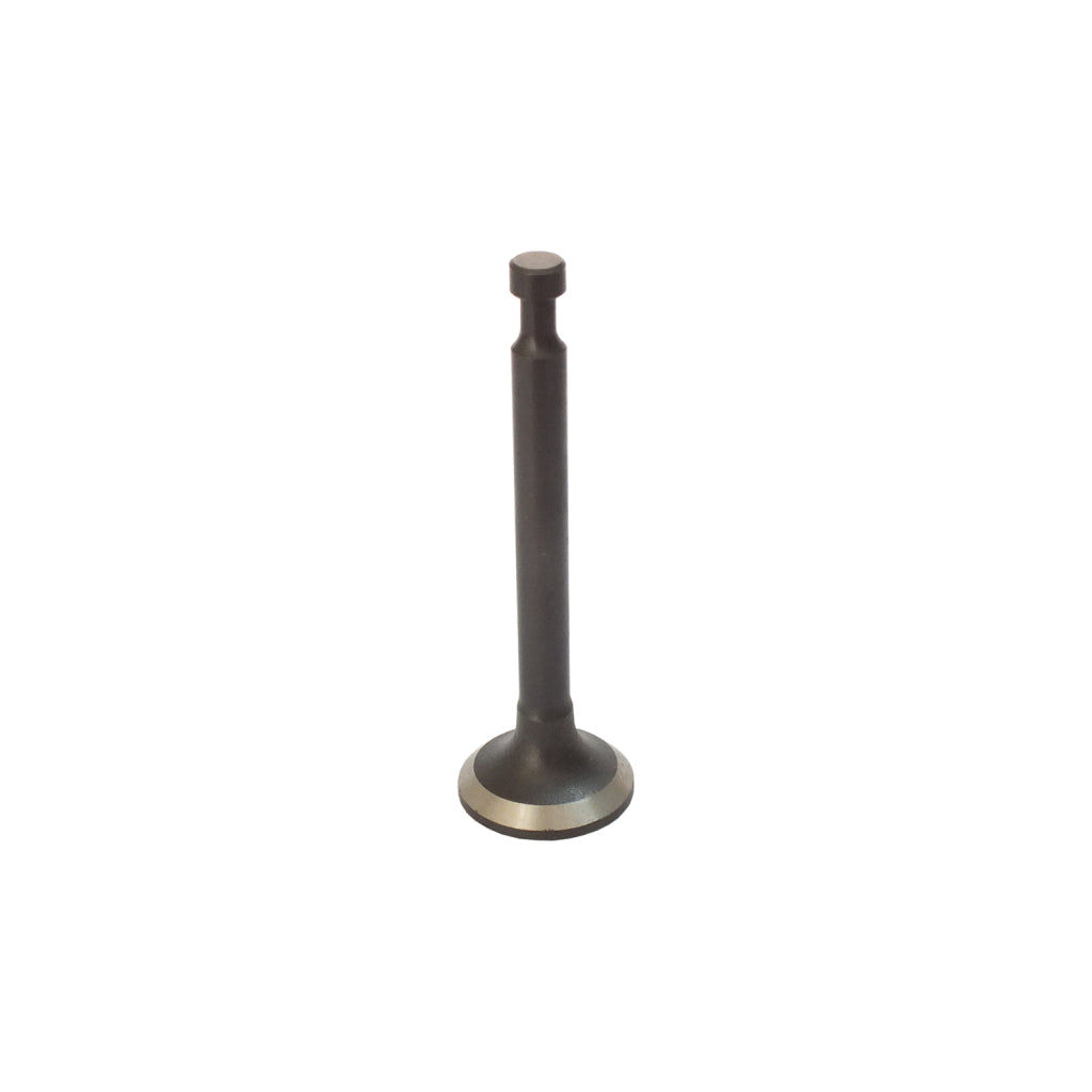 Válvula de Exaustão para Motor Gasolina 4HP - Referencia 160F – foto 1