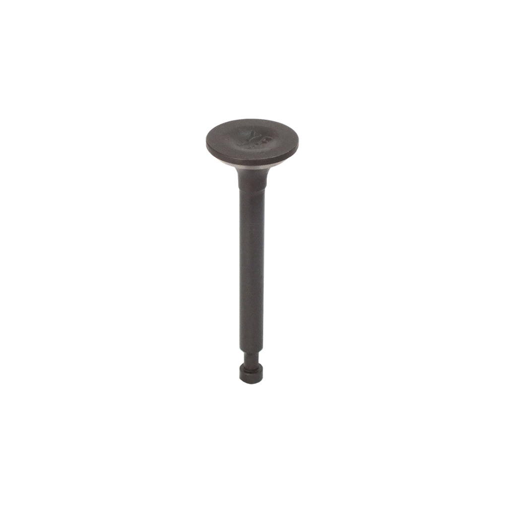 Válvula de Exaustão para Motor Gasolina 4HP - Referencia 160F – foto 2