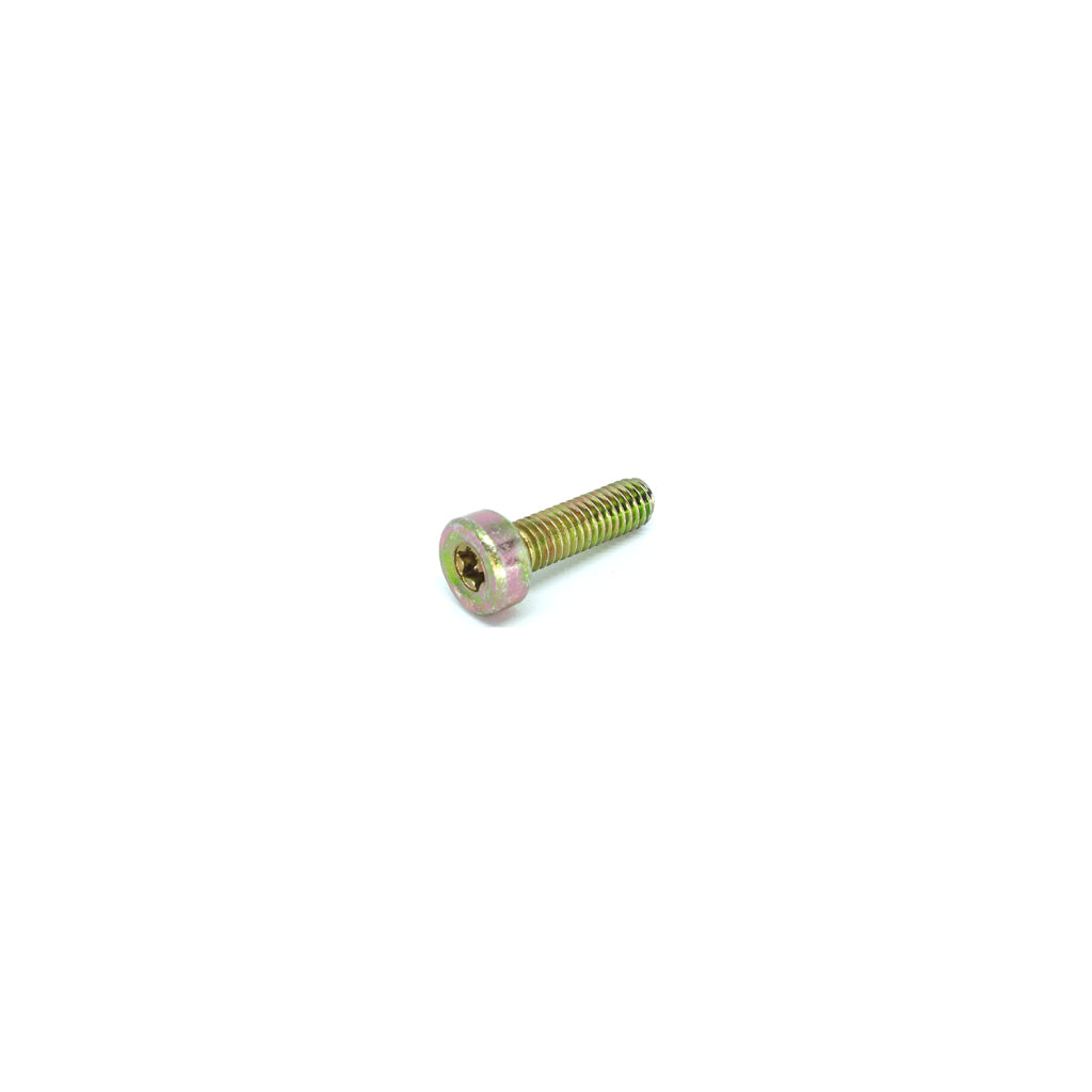 Parafuso Torx 6 x 20mm - Dourado – foto 1