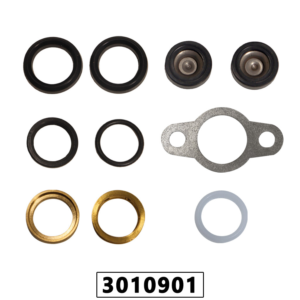 Kit Reparo da Bomba de Pressão do Pulverizador VPM260 – foto 1