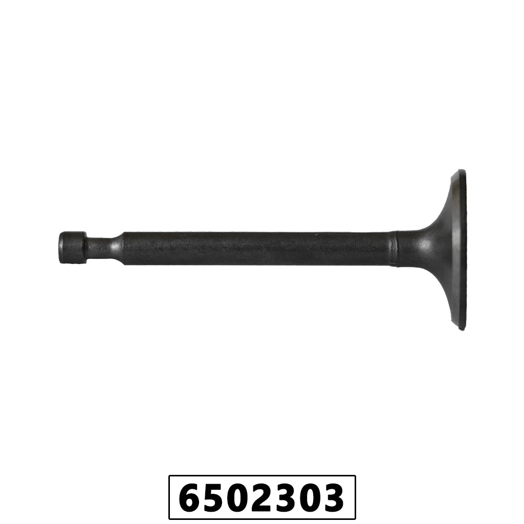 Válvula de Admissão de Motor Gasolina 5,5hp/6,5hp/7hp 4 Tempos – foto 1