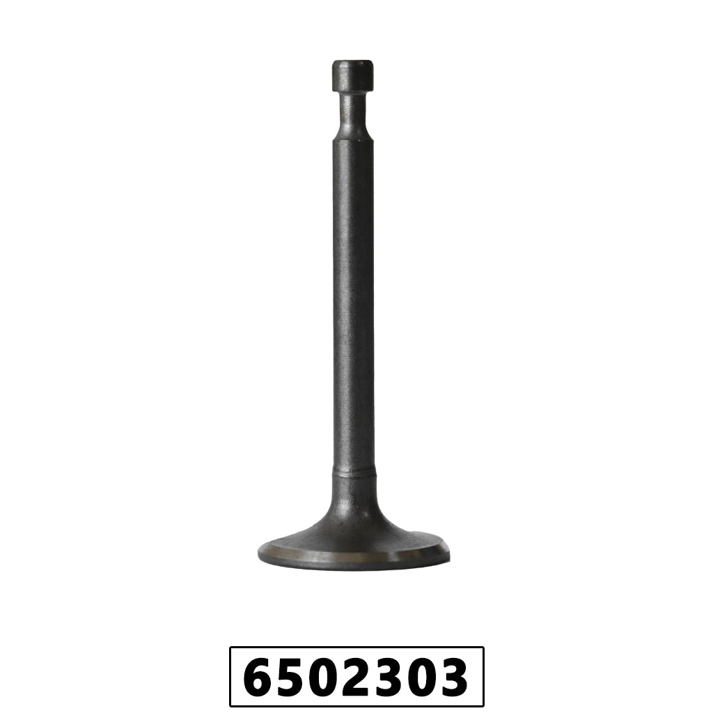 Válvula de Admissão de Motor Gasolina 5,5hp/6,5hp/7hp 4 Tempos – foto 2