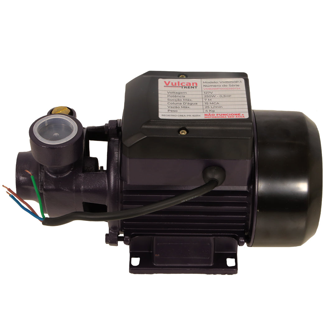 Bomba Periferica 250W 1/3"HP 127V VMB250P - Vulcan Trent – foto 2