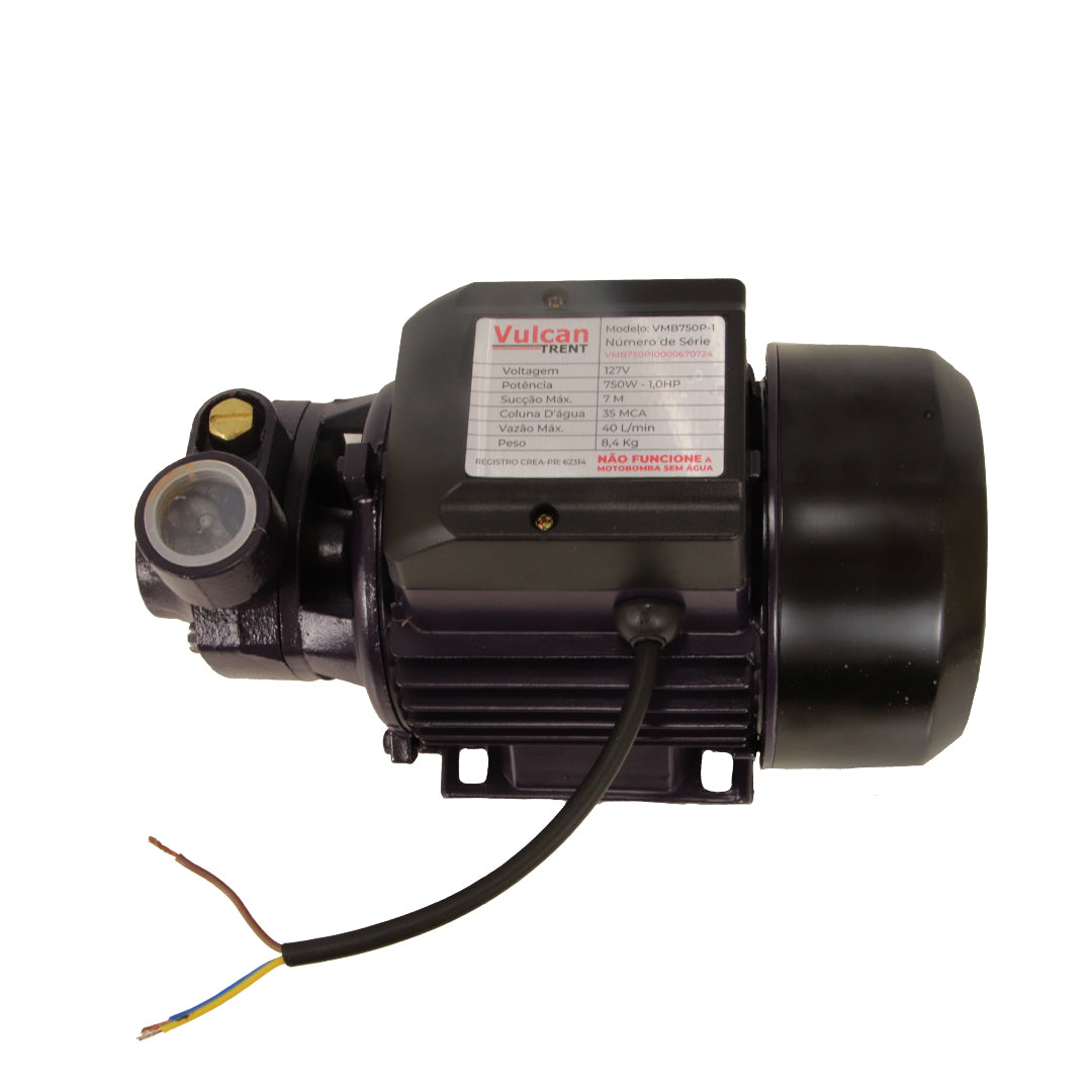 Bomba Periferica 750W 1"HP 127V VMB750P - Vulcan Trent – foto 1