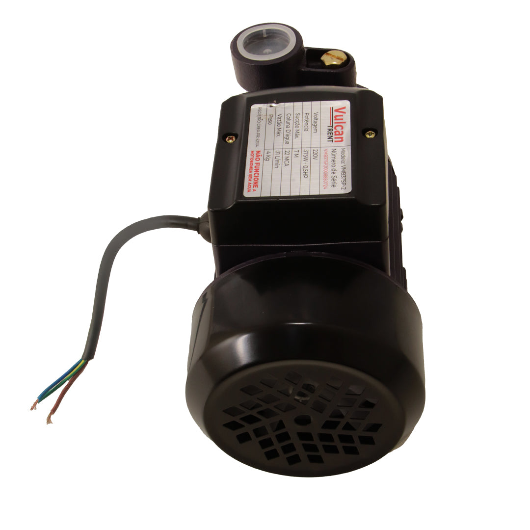 Bomba Periferica 375W 1/2"HP 220V VMB375P - Vulcan Trent – foto 2