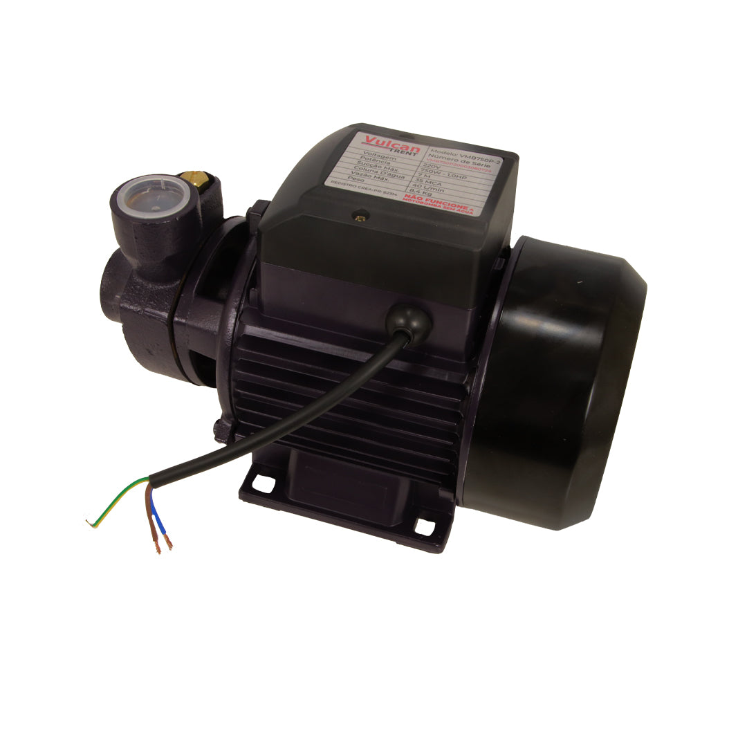 Bomba Periferica 750W 1"HP 220V VMB750P - Vulcan Trent – foto 2