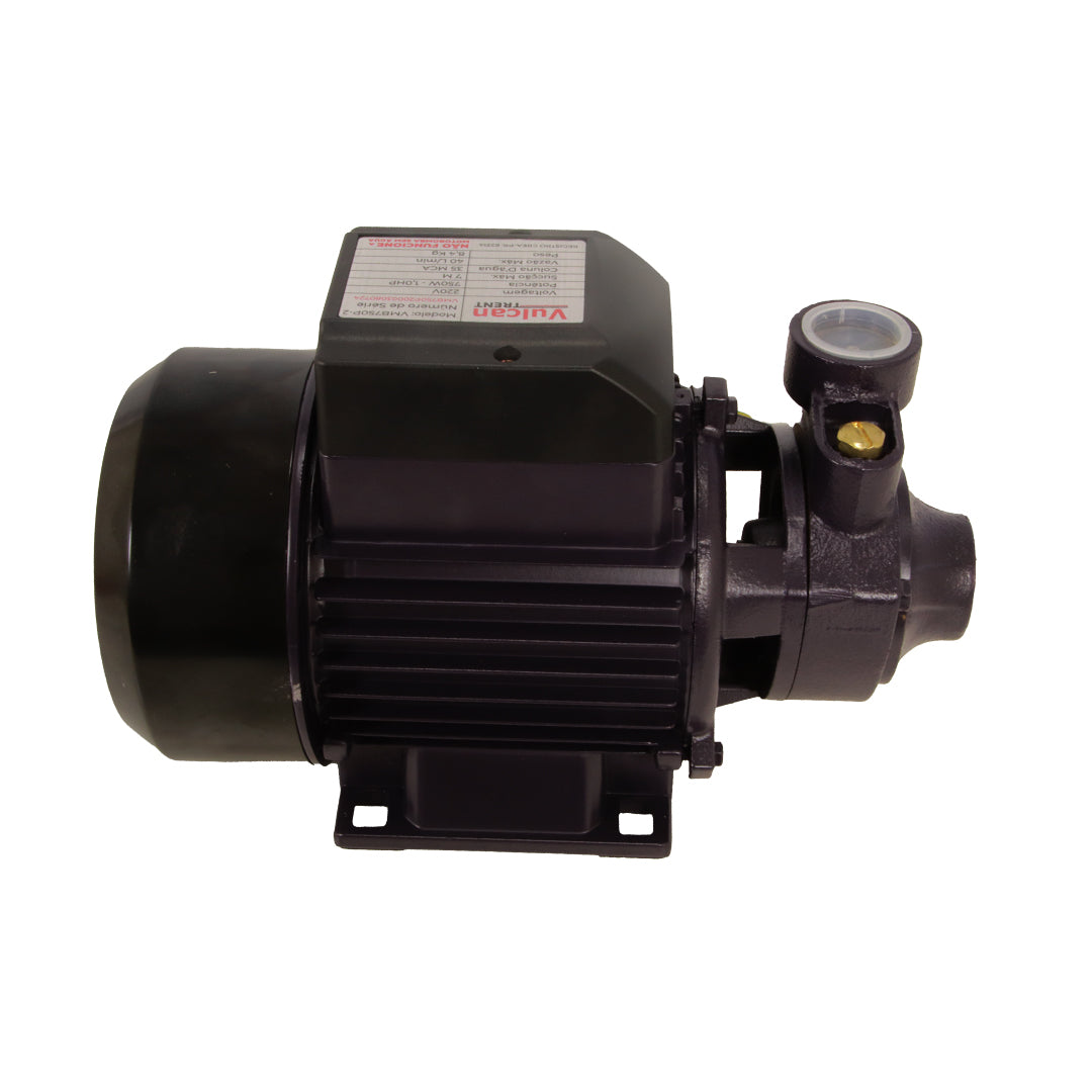 Bomba Periferica 750W 1"HP 220V VMB750P - Vulcan Trent – foto 3