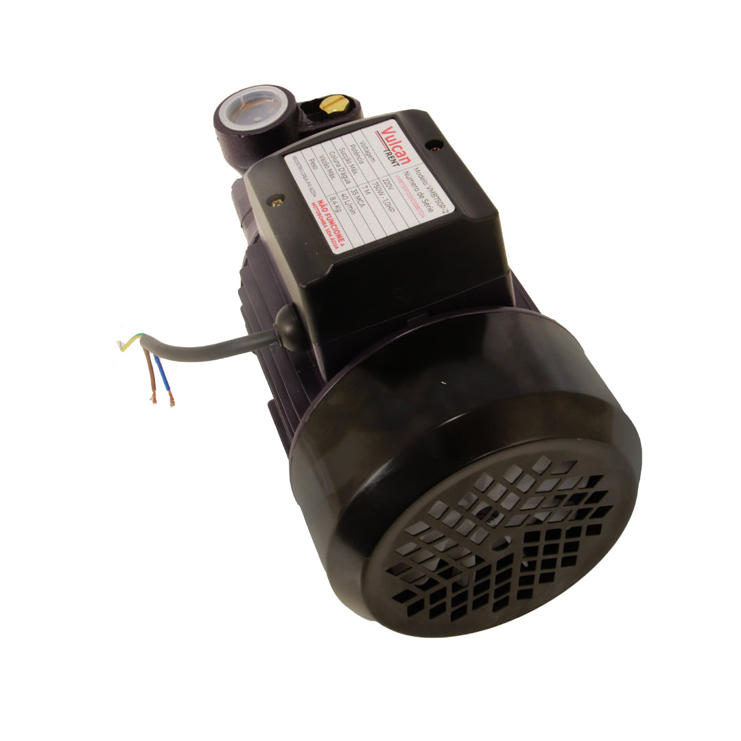 Bomba Periferica 750W 1"HP 220V VMB750P - Vulcan Trent – foto 4