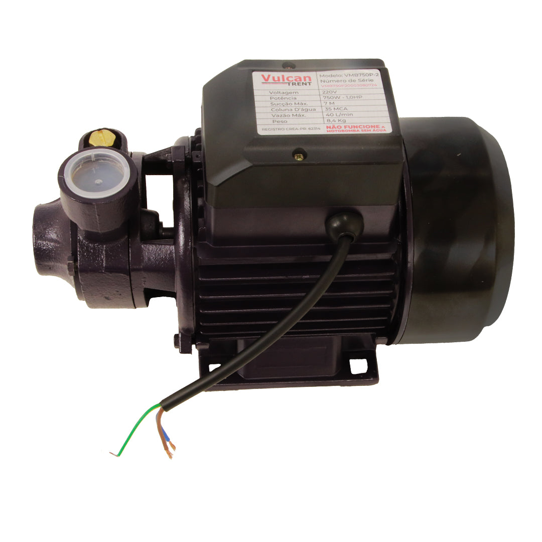 Bomba Periferica 750W 1"HP 220V VMB750P - Vulcan Trent – foto 1