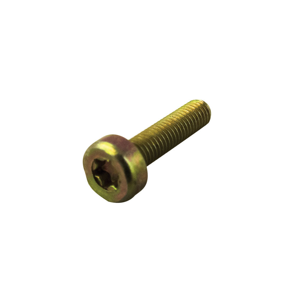 Parafuso Torx 5 x 20mm - Dourado – foto 1