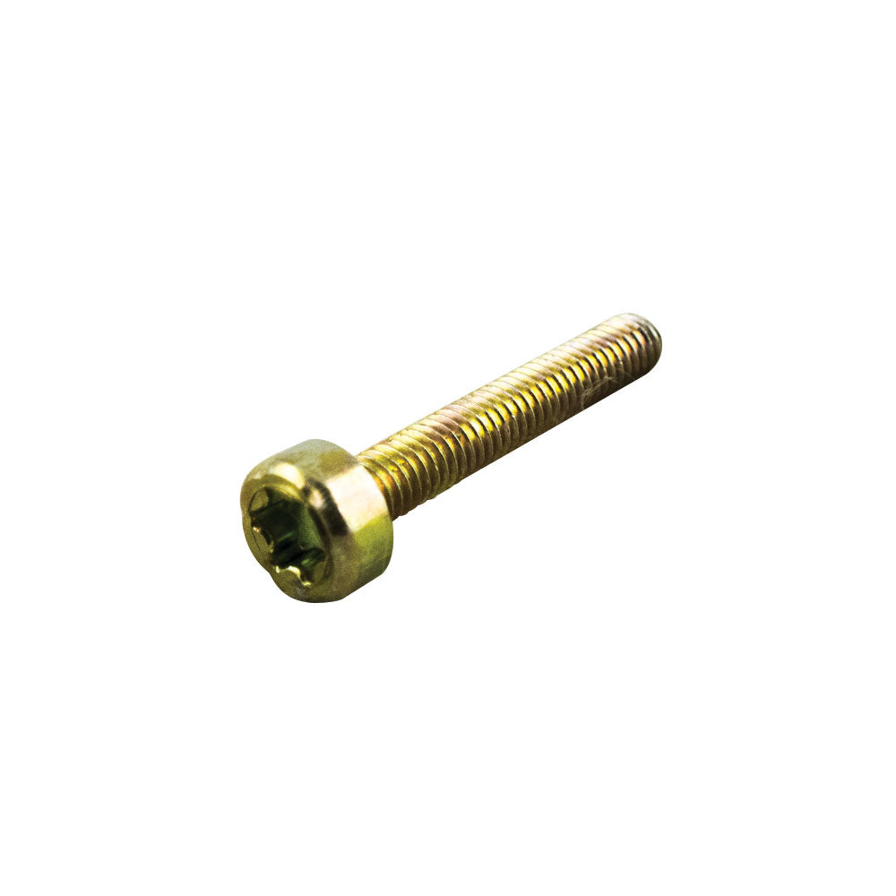 Parafuso Torx 4 x 25mm - Dourado – foto 1