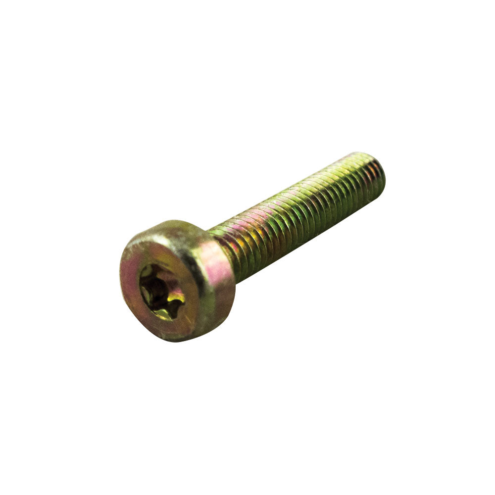 Parafuso Torx 6 x 30mm - Dourado – foto 1