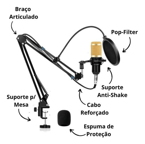 Microfone Condensador Profissional Para Podcast Kp-m0010