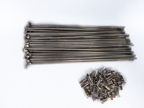 Jogo 36 Raios Inox  2.0x265mm Com Niples Para Bicicleta