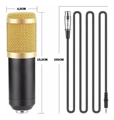 Microfone Condensador Profissional Para Podcast Kp-m0010