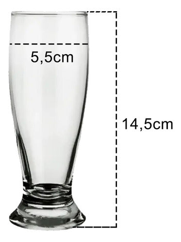 Jogo 6 Copo De Cerveja Chopp Tulipa 240ml Vidro Buffet Festa