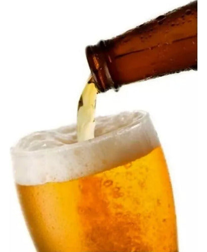 Jogo 6 Copo De Cerveja Chopp Tulipa 240ml Vidro Buffet Festa