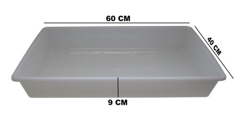 Bandeja Plastica Açougue  Congelamento 40 X 60 Cm